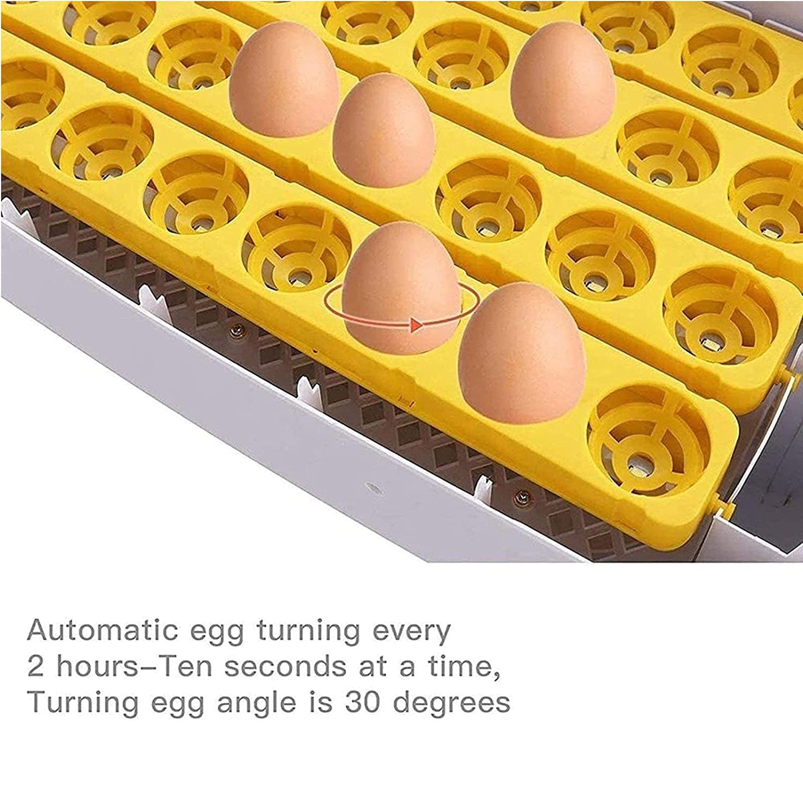 OTQEFTN Egg Incubator 48 Small Size with Digital Display Automatic Turning Temperature & Humidity Control LED Screen Hatching