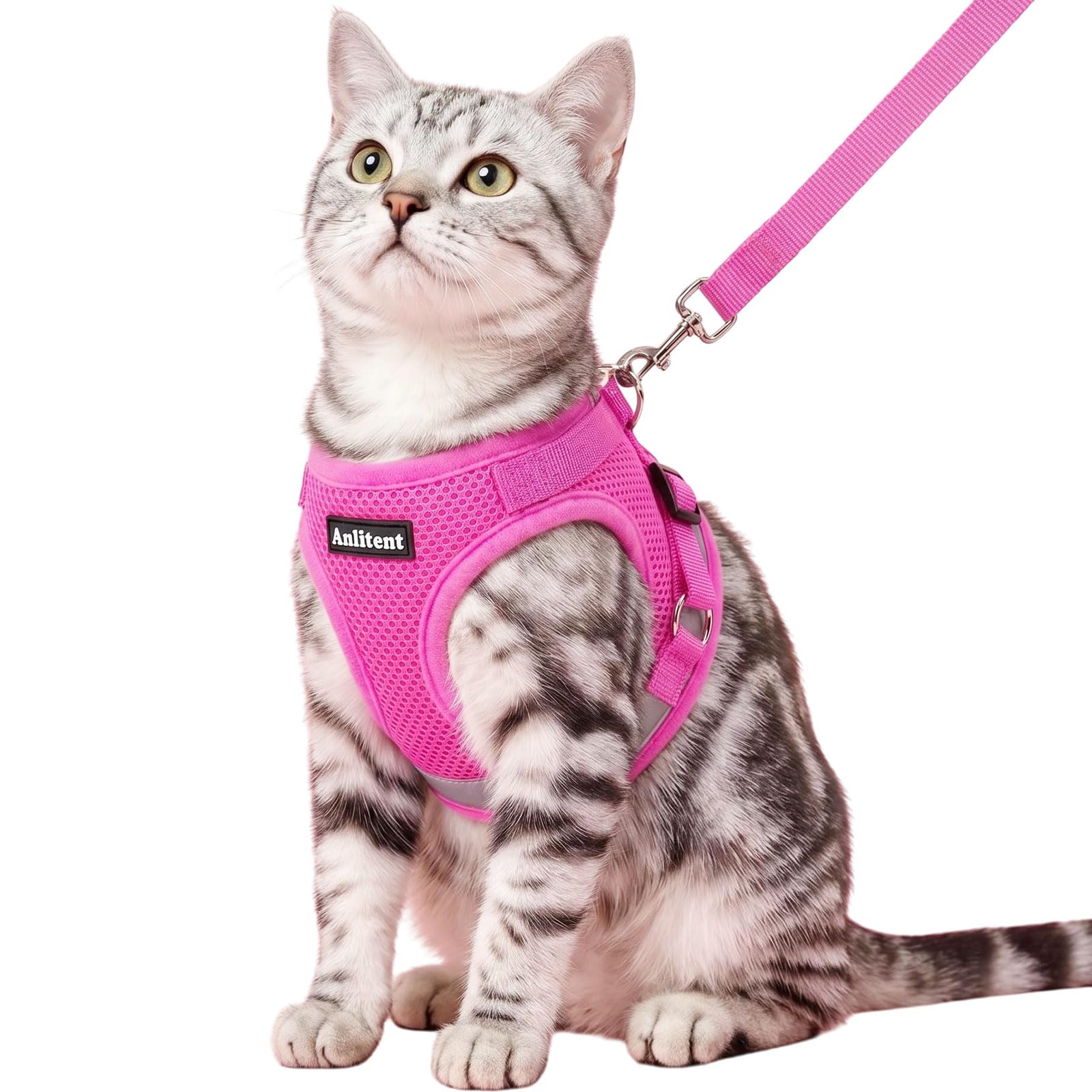 Anlitent Dog Harness and Leash Set for Kitten/Puppy,XS<1kg