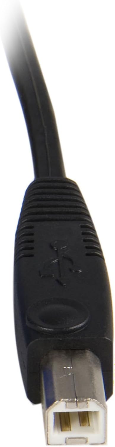 USB-B Connector (Male)