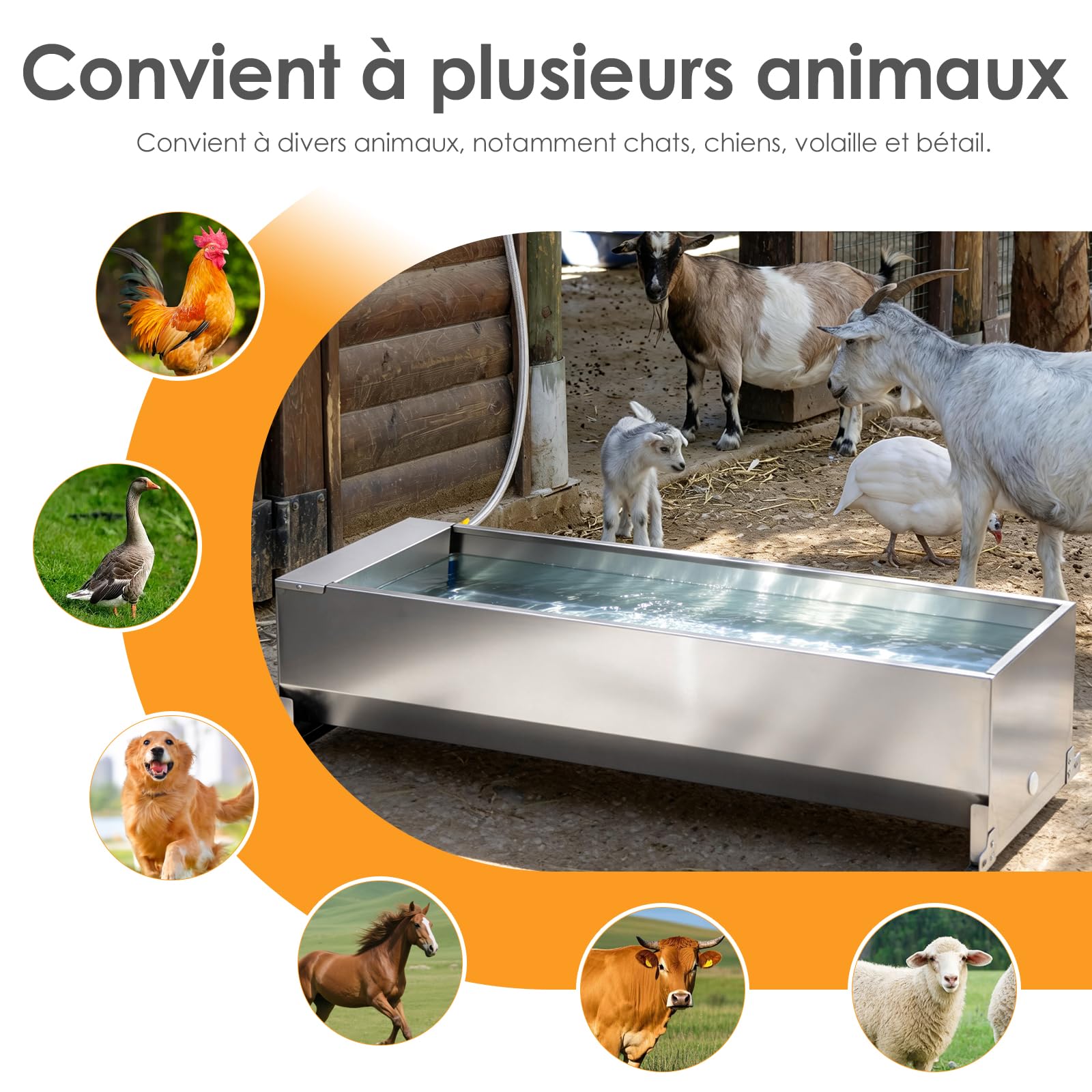 50 litres Bac à Abreuvoir avec Flotteur 1/2 Pouce, Abreuvoir Automatique avec Kit de Connexion, Bac à Abreuvoir à Flotteur avec Supports, Distributeur d’Eau pour Chevaux, Chèvres, Bœufs