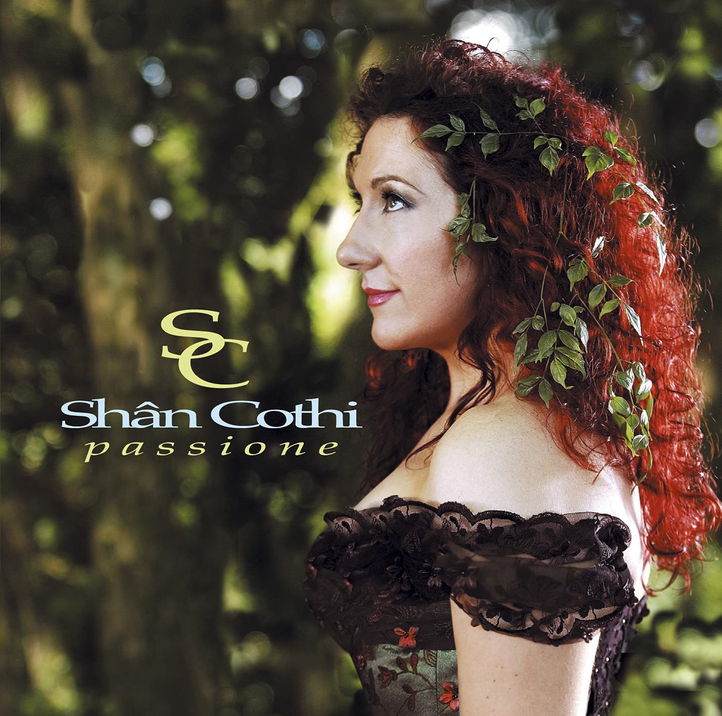 Shân Cothi