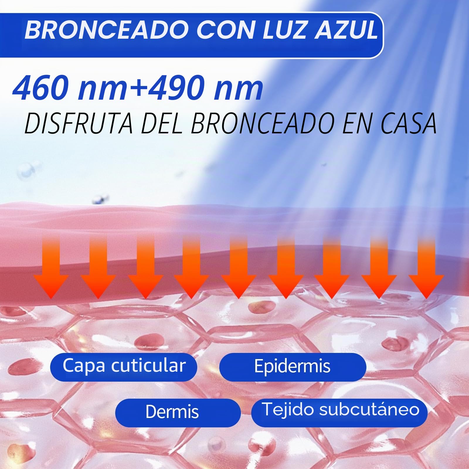 Solarium 60W 460NM 490NM Luz Azul Bronceadora Doble Soporte 432 LEDes Cuerpo Cara