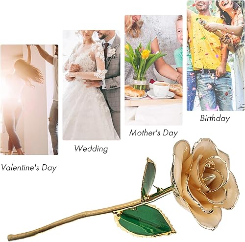 Miniatura 5 de Rosa blanca sumergida en oro de 24 quilates, tallo largo, flor preservada para siempre, regalo para ella, mamá, esposa en el día de San Valentín,