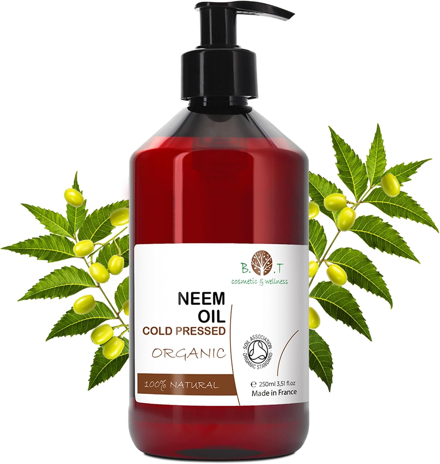 Huile de neem anti-parasites