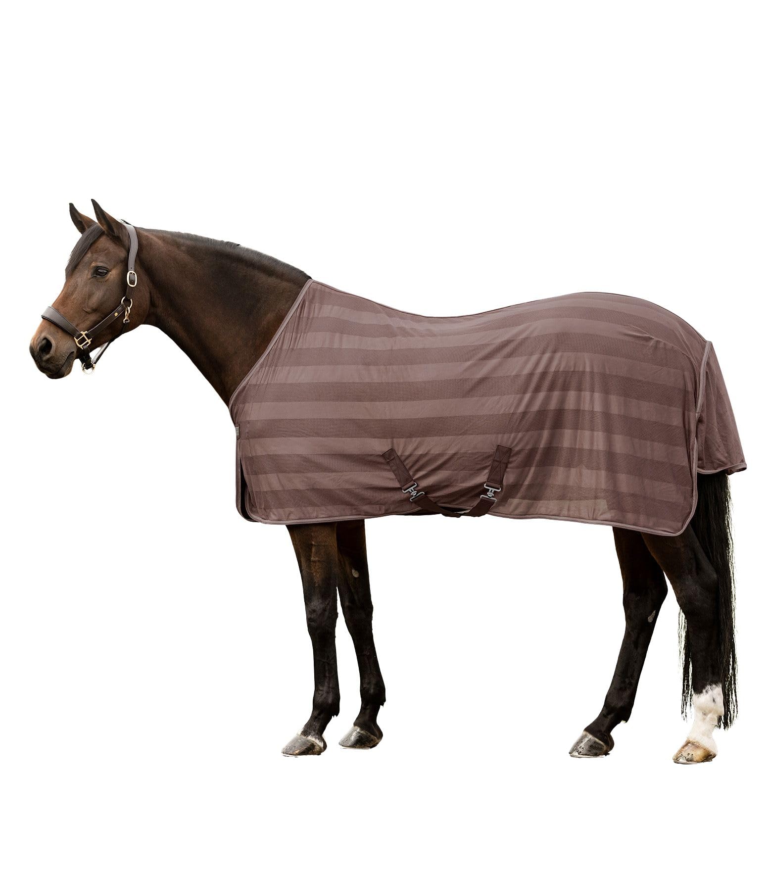 Couverture anti-mouches cheval 135 cm Waldhausen moka avec sangles croisées chemise anti-insectes