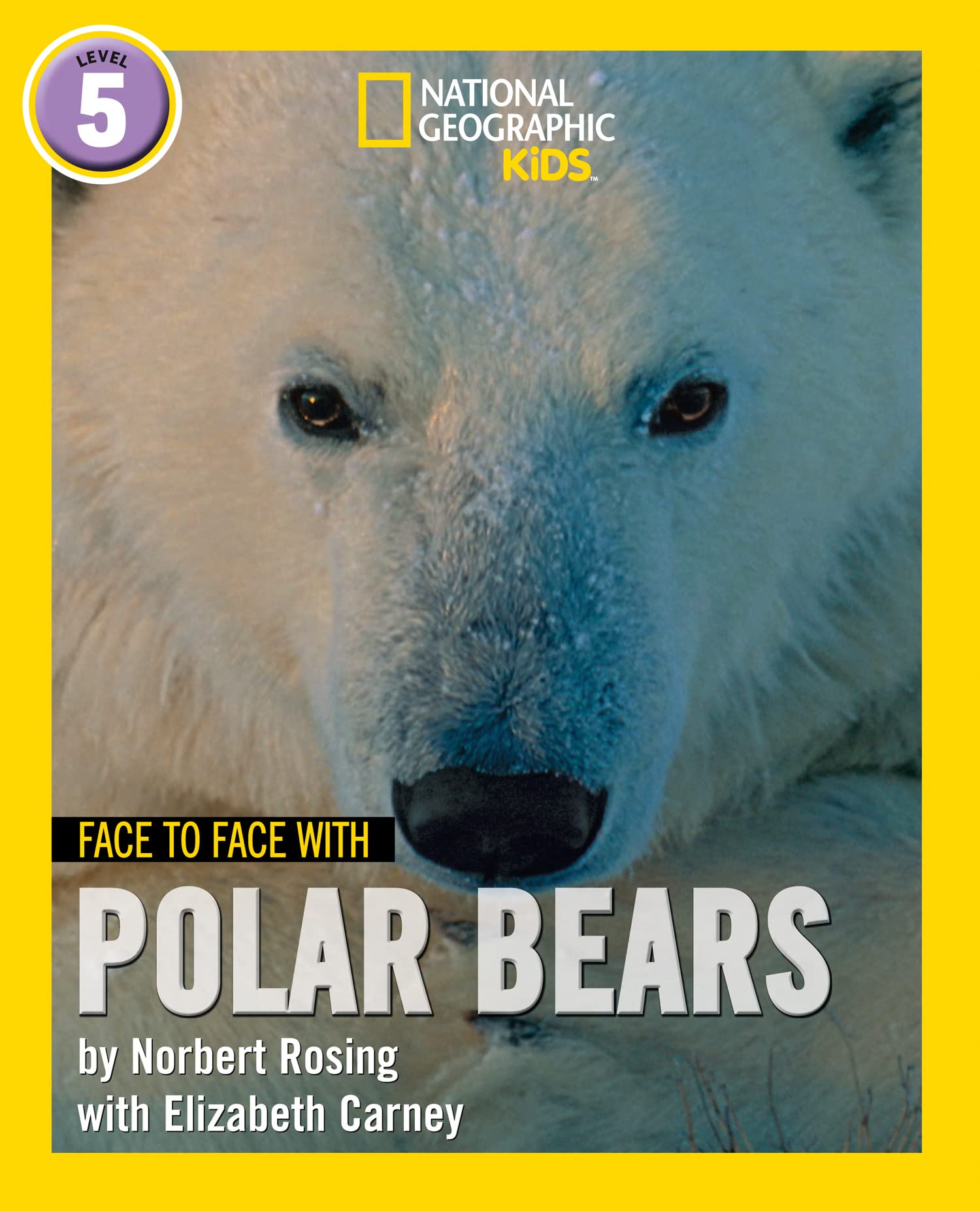 HarperCollins Face to Face with Polar Bears: Level 5 Paperback – Big Book, 27 September 2019