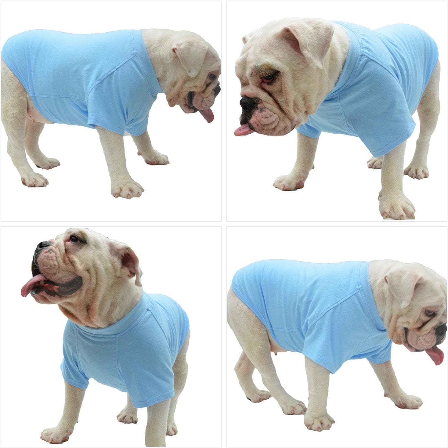 Comfy XXL Light Blue Dog Tee - Basic Pet T-Shirt 10 71L 45CmAcL. AC SL1500