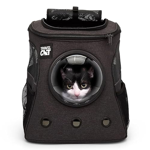 The Fat Cat Space Capsule Backpack (Charcoal)