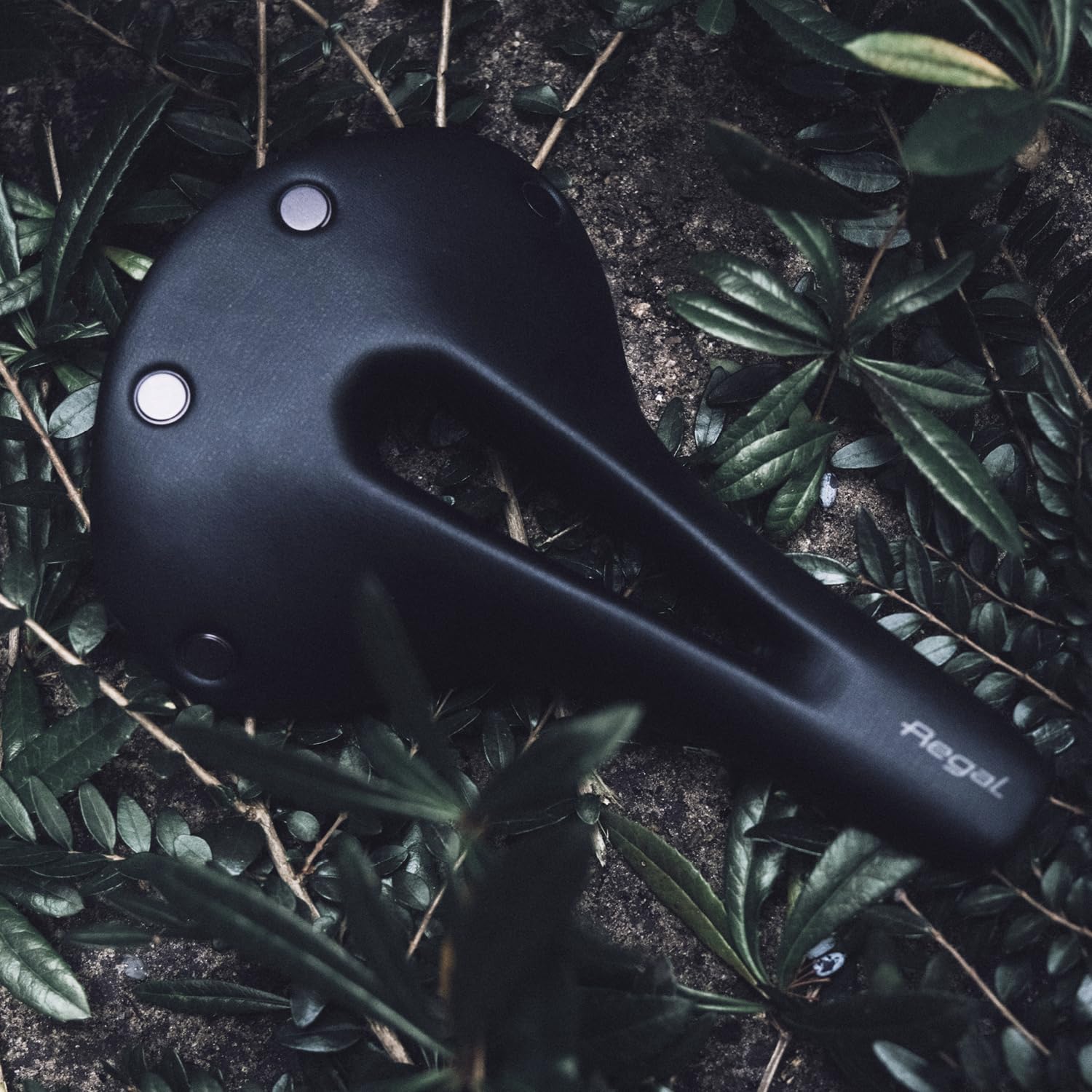 Amazon | セラサンマルコ（SELLE SAN MARCO） 自転車用サドル リーガル