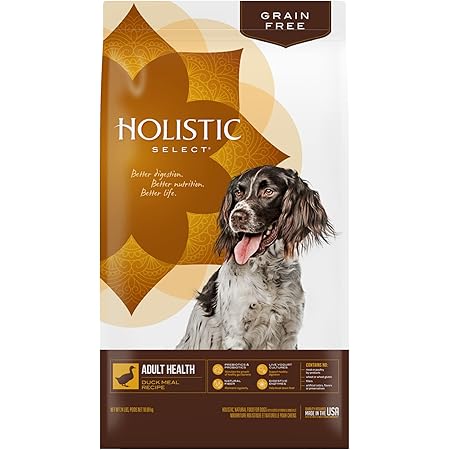 holistic select lamb