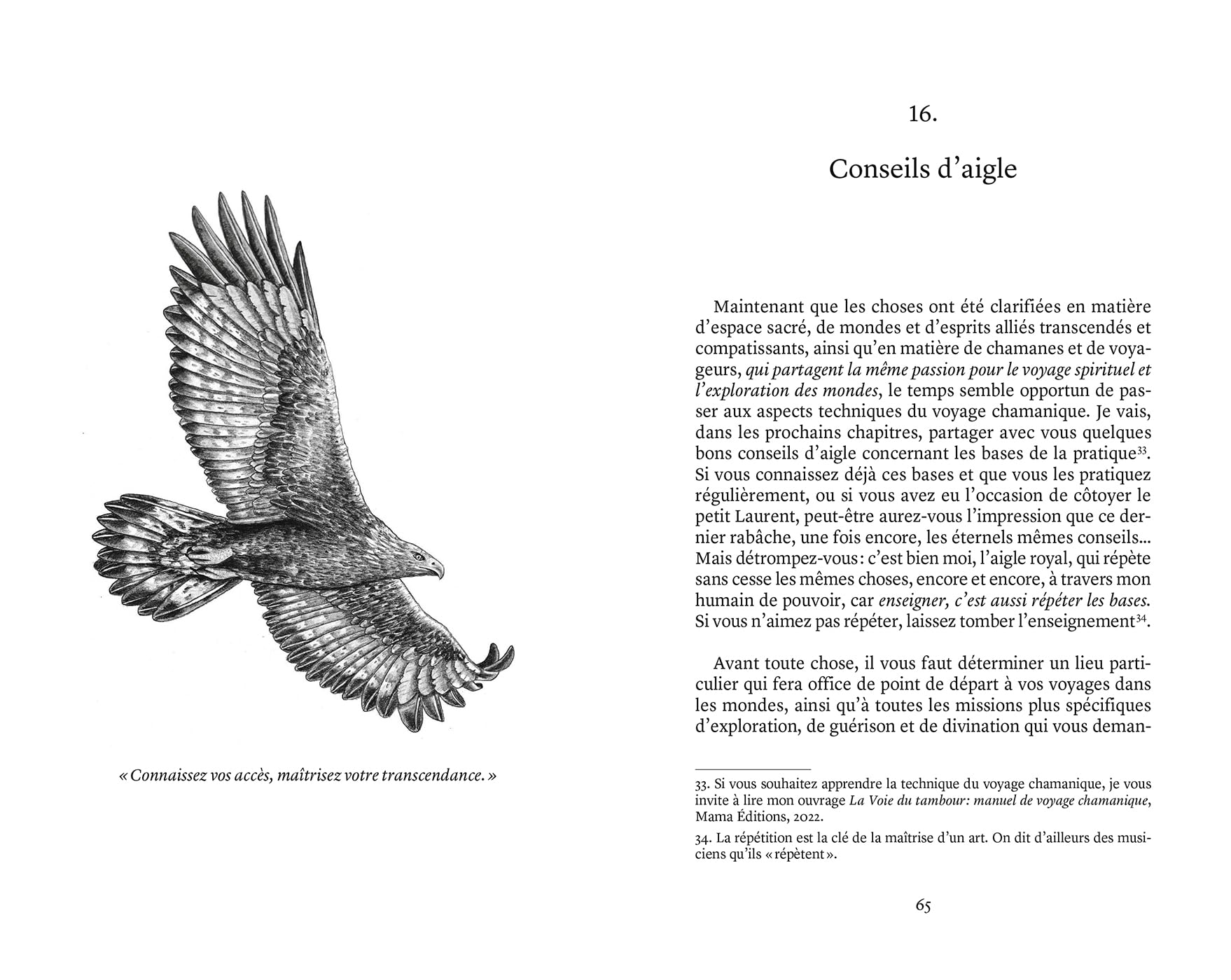 Amour, force & lumière, Le chamanisme expliqué par les esprits: Tome 1 : L'aigle royal