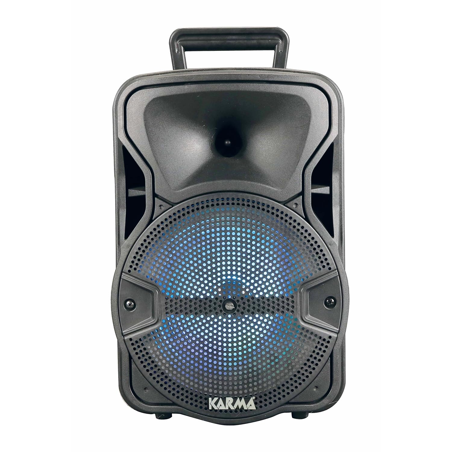 Diffusore amplificato con radiomicrofono 300W PMPO