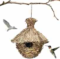 天然 希少 鳥の巣 インテリア ハタオリドリ科 メス メンハタオリドリ - eBird