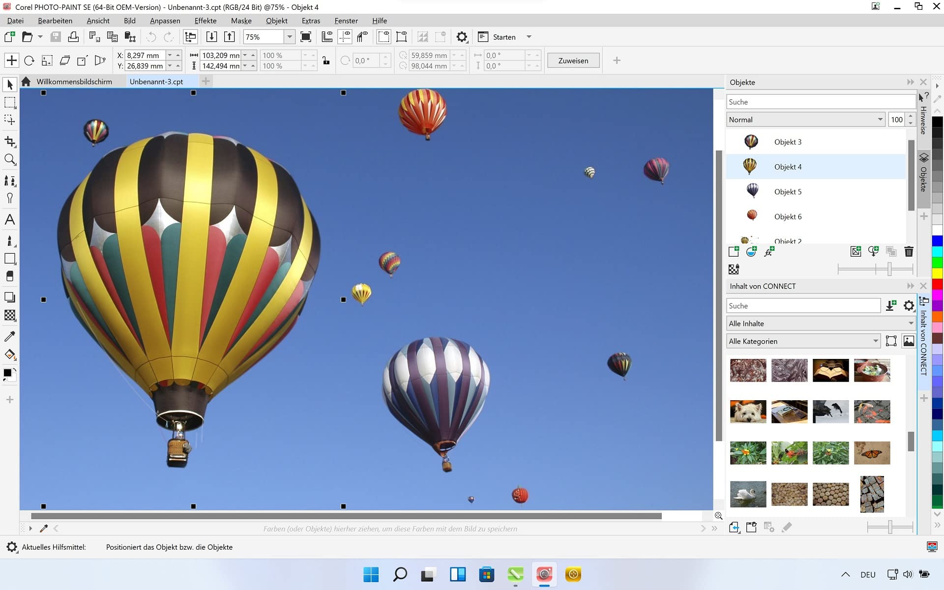 COREL CorelDRAW Graphics Suite Special Edition 2021 OEM inkl. AfterShot 3 + PhotoMirage Express DVD-Box