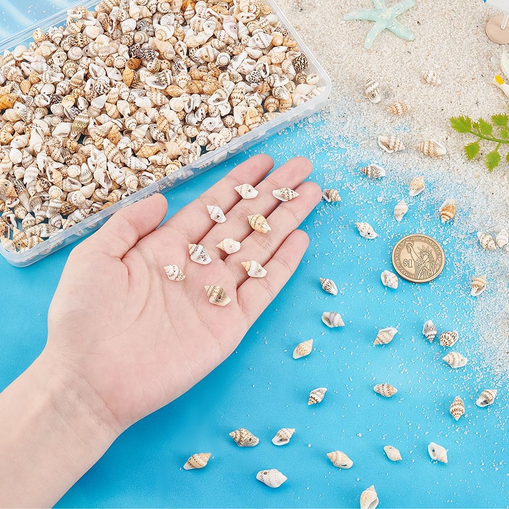 PH PandaHall 540pcs Natural Spiral Sea Shell Beads, 10~15mm Ocean Beach Seashell Beads Drilled Mini Shells Small Shells for Craft DIY Jewelry Making Wedding Home Party Decor Fish Tank Vase Filler - Image 3