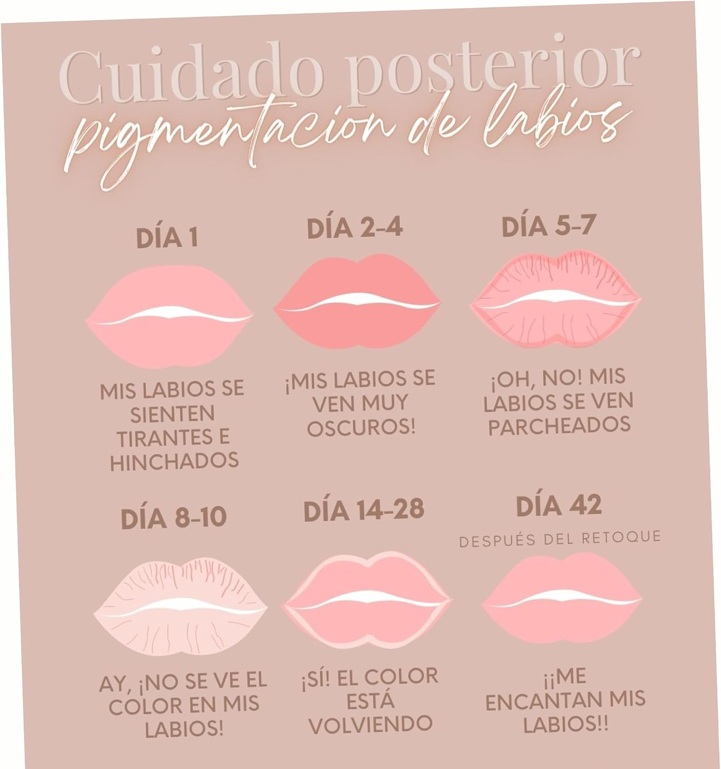 Spanish Lip Blush Aftercare Instruction Cards | 35 Pack | 4x6 inch Post Card Size | Lip Blush Supplies