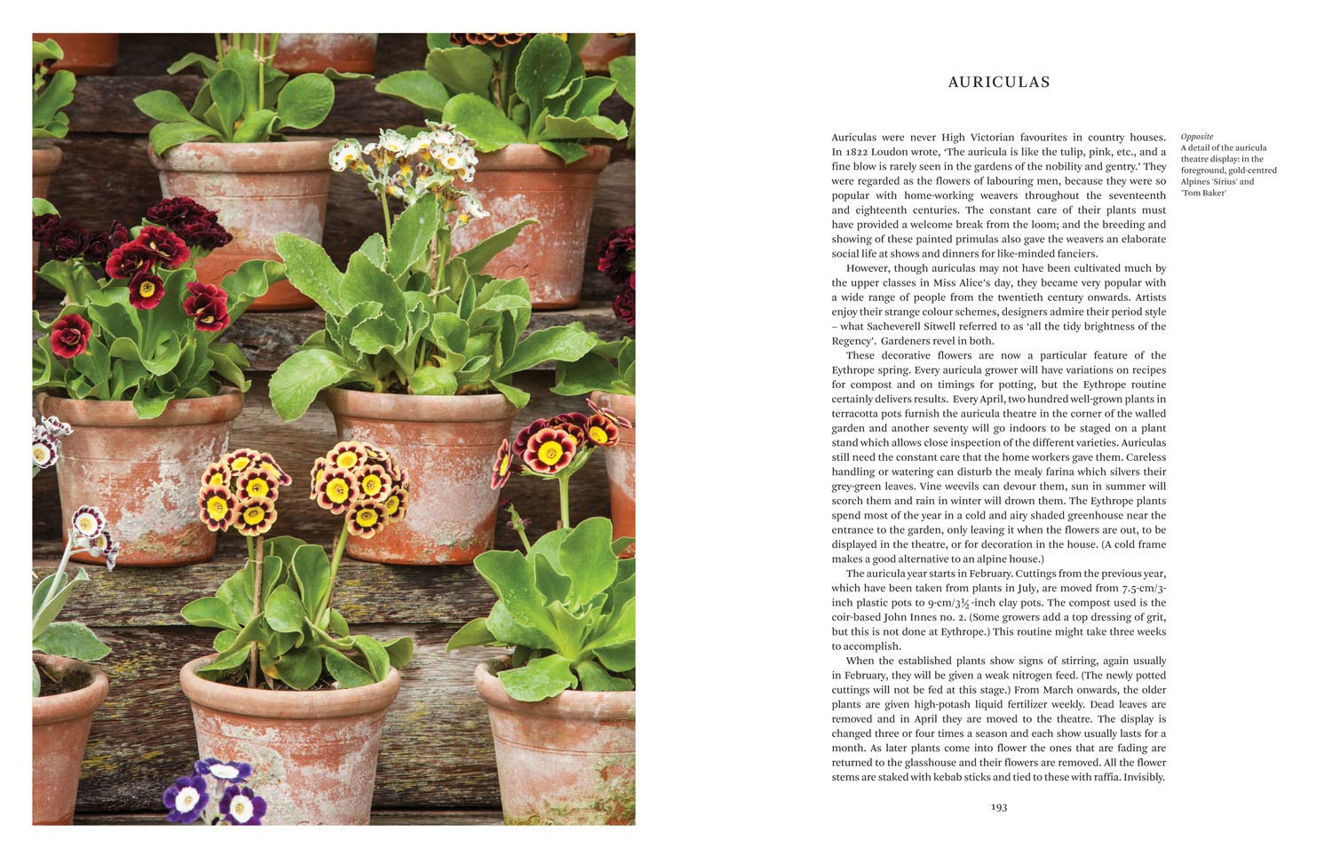 Paradise and Plenty: A Rothschild Family Garden