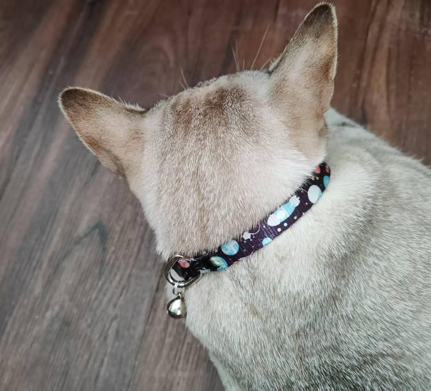 Katzenhalsband, 2 Stück Breakaway Halsband mit Glöckchen, Sicherheitsschnalle Kätzchenhalsbänder für Jungen und Mädchen Katzen, Stern und Mond