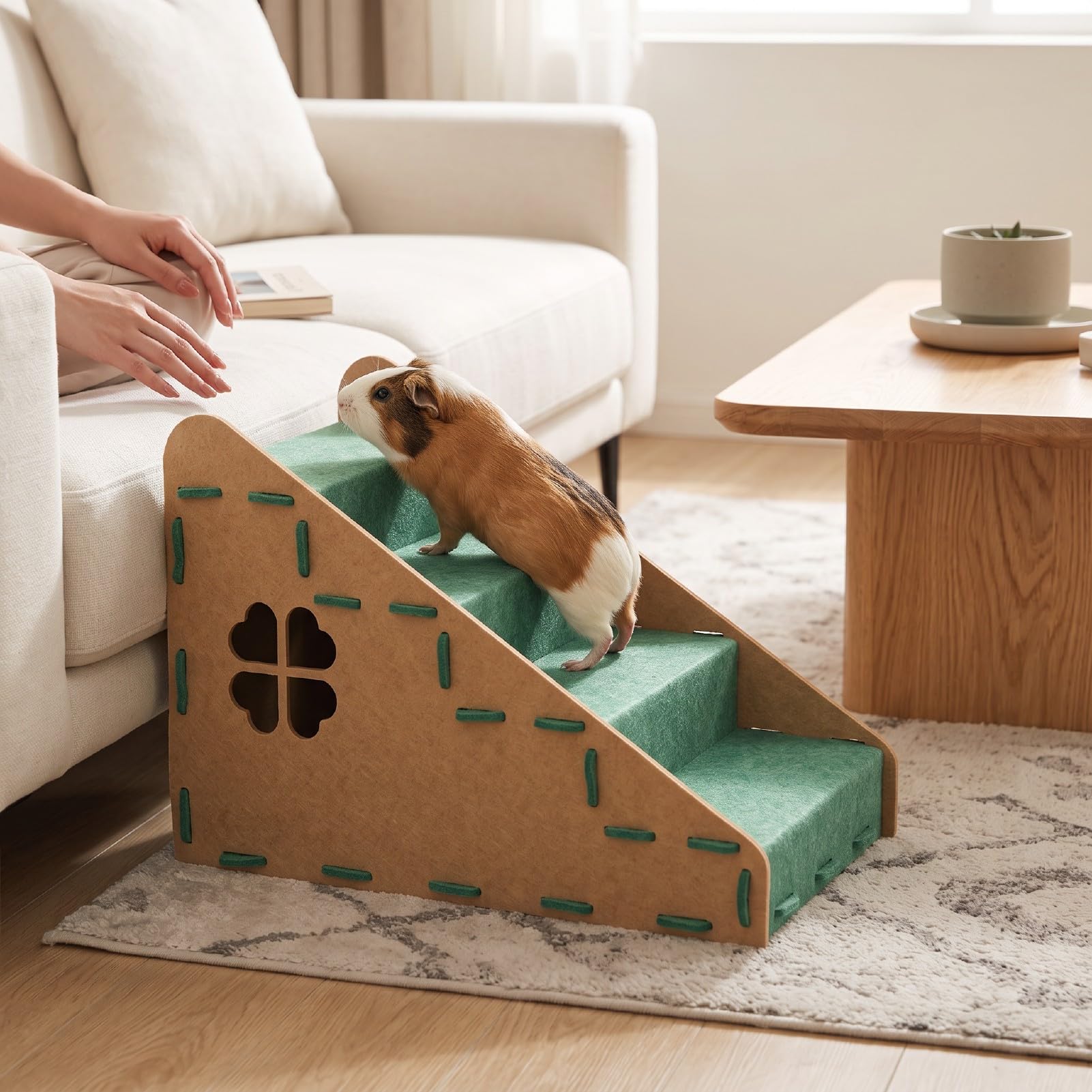 Asixxsix Rampette per Cani e Gatti di Piccola Taglia, 4 Gradini, Verde, per | Feltro Ad Alta densità Rimovibile, Assemblaggio Senza Attrezzi, Sicuro per Letti da 20 a 60 Cm, Gradini Antiscivolo