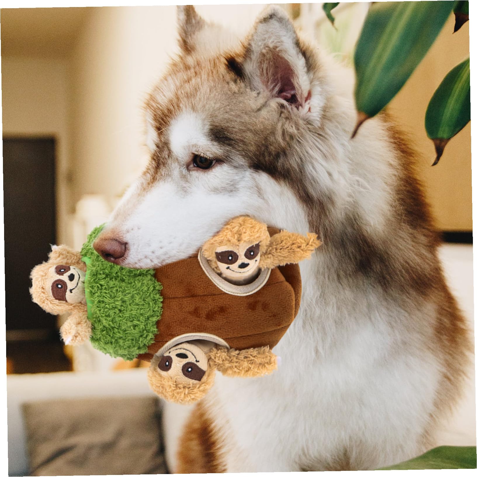 SHINEOFI Hunde Plüschtier 4 Stück aus Plüsch in Tierform Quietschendes Hundespielzeug in Kaffee Interaktives Versteckspielzeug für Hunde Begleiter und Trainingsspielzeug für Haustiere