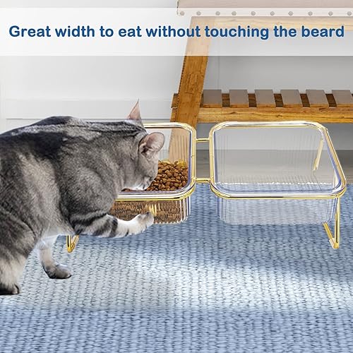 Elevated Double Cat Bowls,5.7" Pets Water and Food Bowl 15°Tilted Transparent Raised Kitten Food Feeding Dishes with Iron Stand Anti Slip Kitty Dishs Rose Gold Bowl Set for Kittiens Small Dogs(2 PCS)