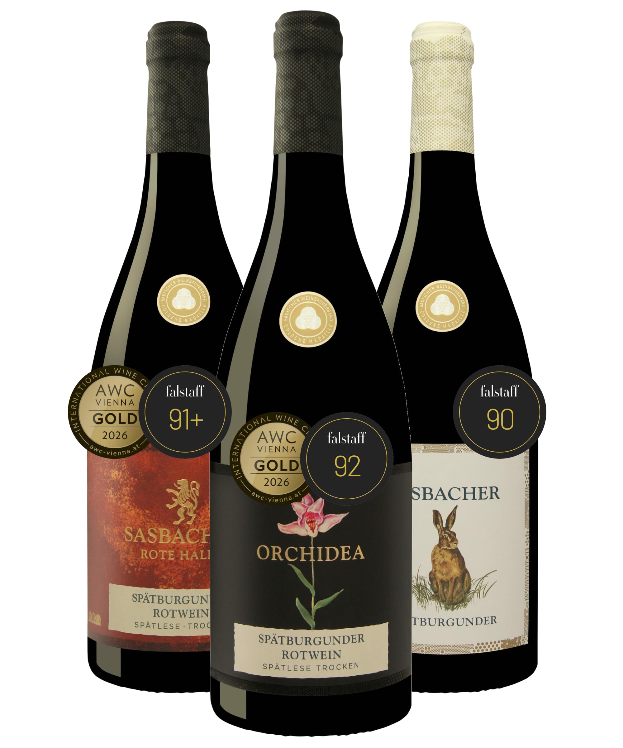Sasbacher Spätburgunder Falstaff-Paket, Rotwein trocken 3x0,75 l | Spätburgunder Barrique Spätlese, Jäger-Wein QbA & Edition Orchidea Spätlese trocken, Falstaff prämierte Weine, Rote Halde