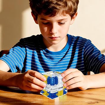 Labyrinth Puzzle Cube Logic Development Brain Training Labyrinth Puzzle