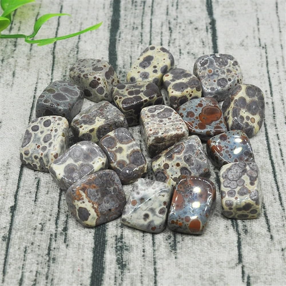 AtkitS Bellissimo Naturale variegato Fiocco di Neve Ghiaia Campione Dimensione Irregolare burattato Pietra curativa Cristal di Quarzo Minerale Decorazione Acquario Domestico(500g)