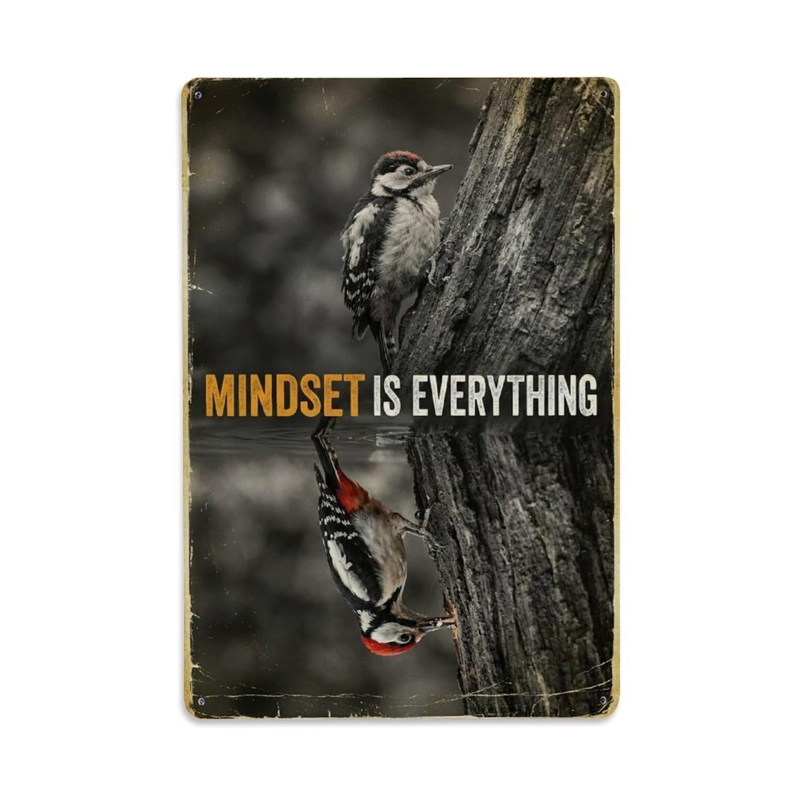 Olhnbad Style Woodpecker Bird Mindset Is Everything Quote Metal Tin Sign