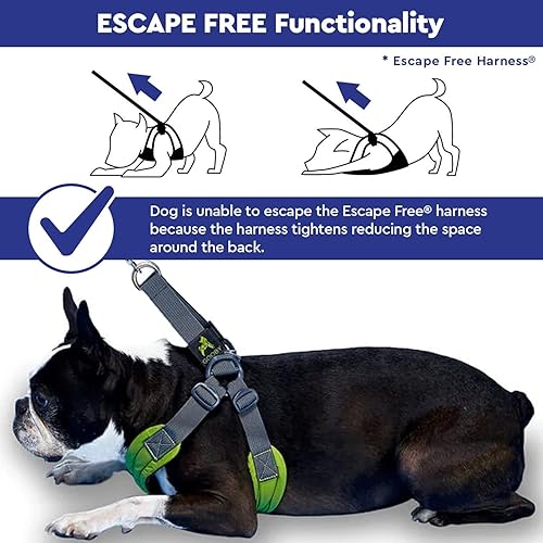 Miniatura 7 de Gooby Escape Free Arnés deportivo para perros que tiran y escapan, L, Rojo