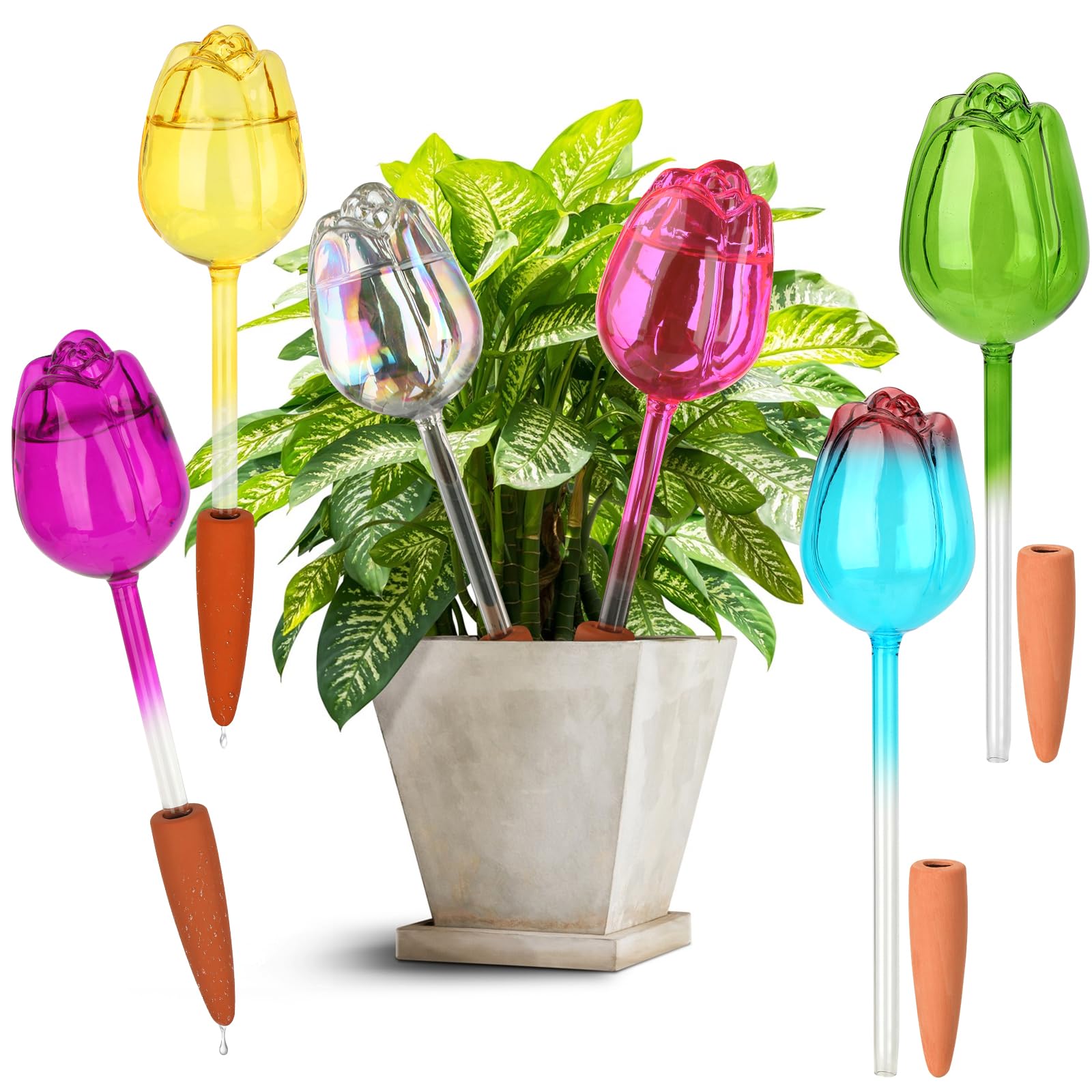 VZZNN 6 Set Pflanzenbewässerungskugeln Tulpen, Selbstbewässernde Kugeln, Automatische Pflanzenbewässerungsgeräte, Selbstbewässernder Pflanzeinsatz mit Bewässerungsspikes, Glasbewässerungsbirnen für