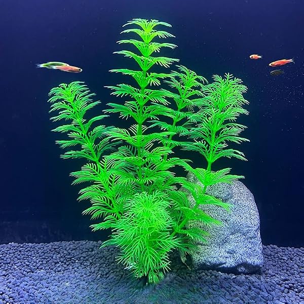 Plantas artificiales de acuario de 8.6 pulgadas, decoraciones de peceras de plástico, plantas acuáticas verdes realistas, accesorios para acuarios, terrarios (X1213-verde) - 3