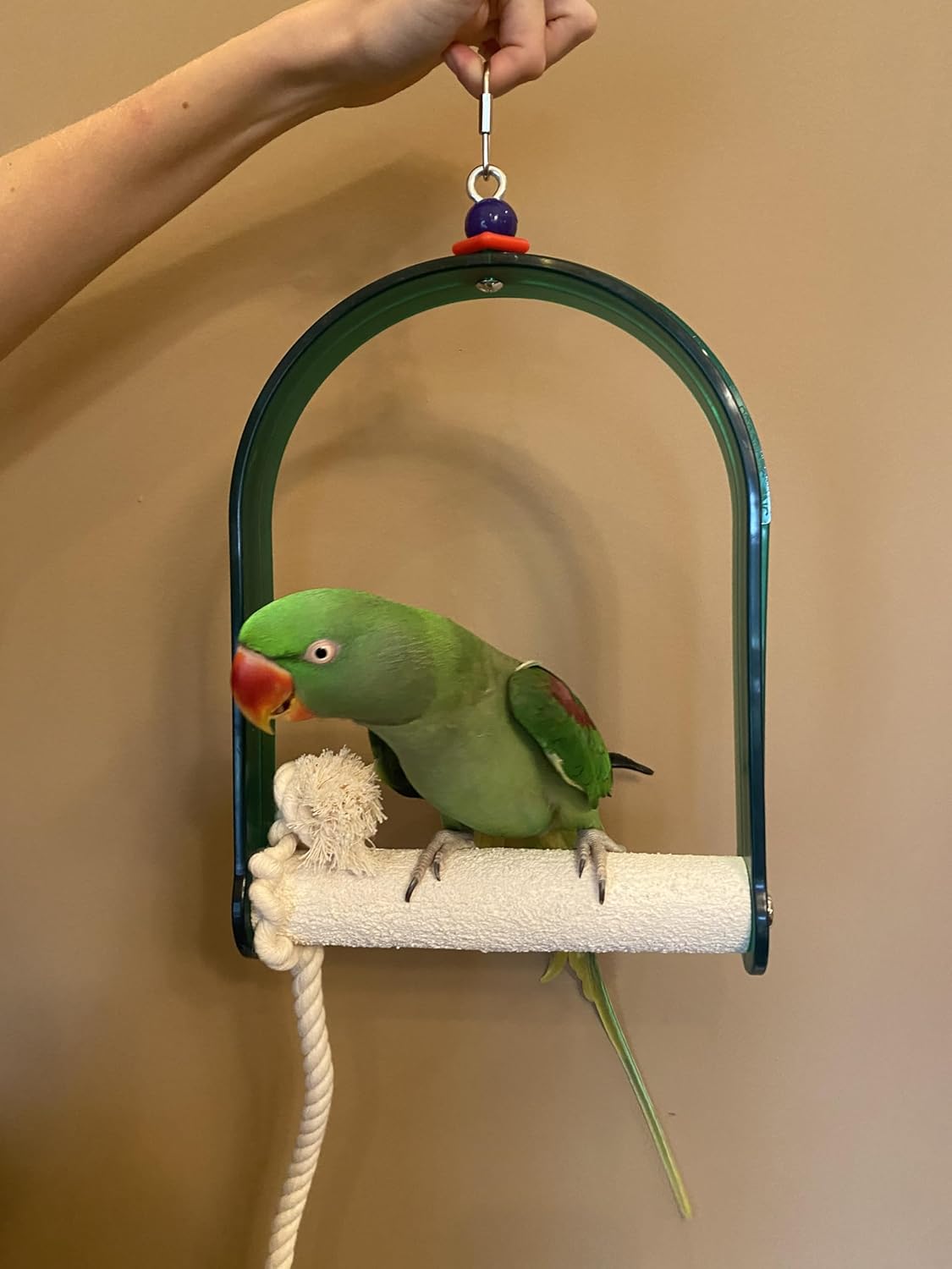 Polly's Arch Swing-Nail Trimming Bird Swing for Cages-Great for Parrots Including Parakeets, Cockatiels, Amazons, Macaws, and Cockatoos. (Large)