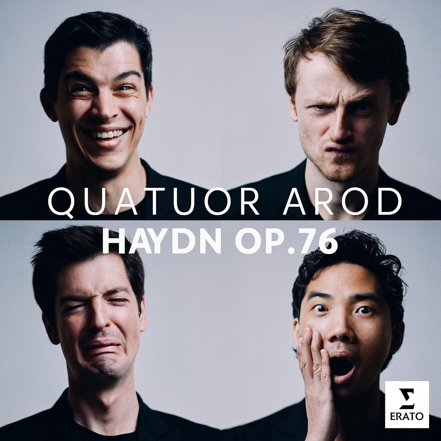 Haydn: Streichquartette op. 76 (Nr.1-6)
