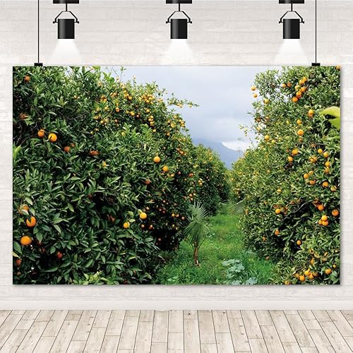 Miniatura 2 de Telón de fondo para fotografía de huerto naranja de 10 x 8 pies, árbol frutal, jardín, paisaje, fotografía, huerto, granja, campo, paisaje natural,