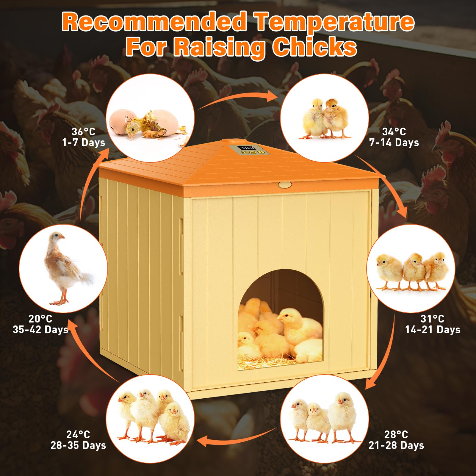 360°Calentador para Gallinero, 65W Calefacción Gallinero, Criadora de Pollitos, 10-52℃, para 15-20 Pollitos, para Pollos, Gatitos, Cachorros, Mascotas