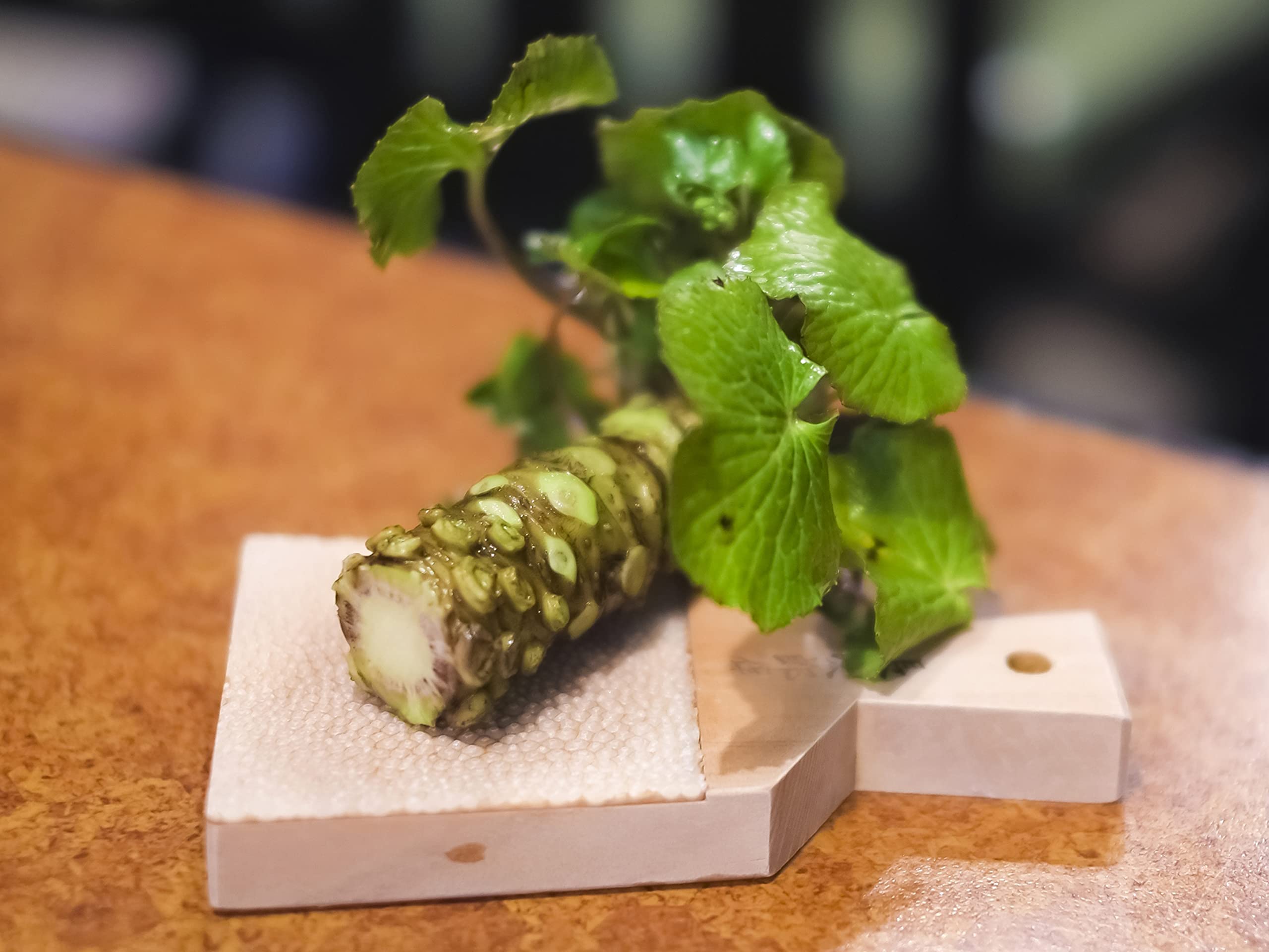 Japanische klassische Reibe für Wasabi und Ingwer, mit Bedienungsanleitung (evtl. nicht in deutscher Sprache), für aromatische, frische Wasabi und Ingwer, hergestellt in Japan (mittel)