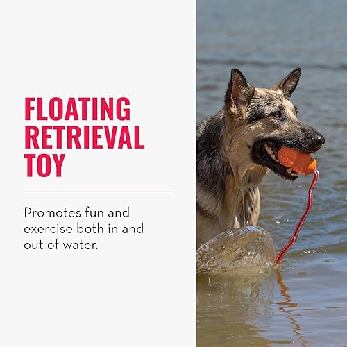 Vista 10 de KONG Aqua - Juguete flotante para perros para recuperar agua, jugar, hacer ejercicio y más, juguete de goma natural para perros