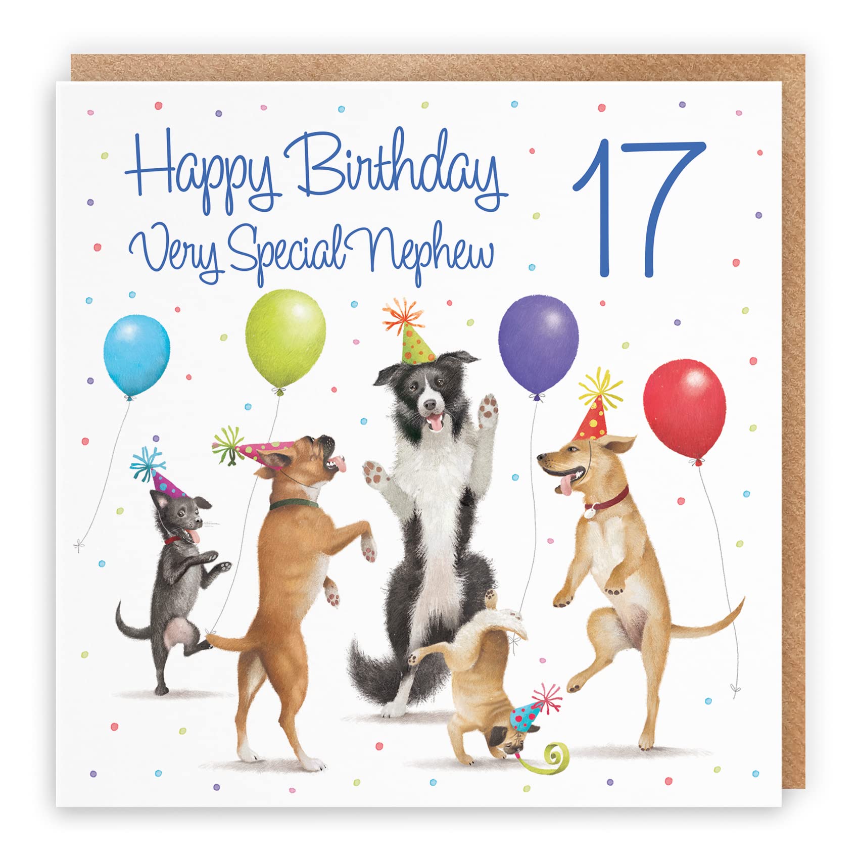 Biglietto di auguri per il 17° compleanno del nipote: colorato e personalizzato, WW0254 - Italia