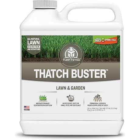 Turf Titan Thatch Buster Revitalize Your Lawn