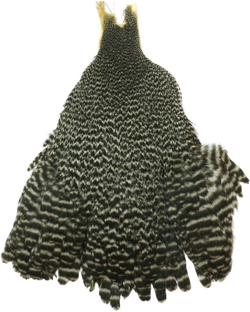 Metz Hen Neck - Grade 1