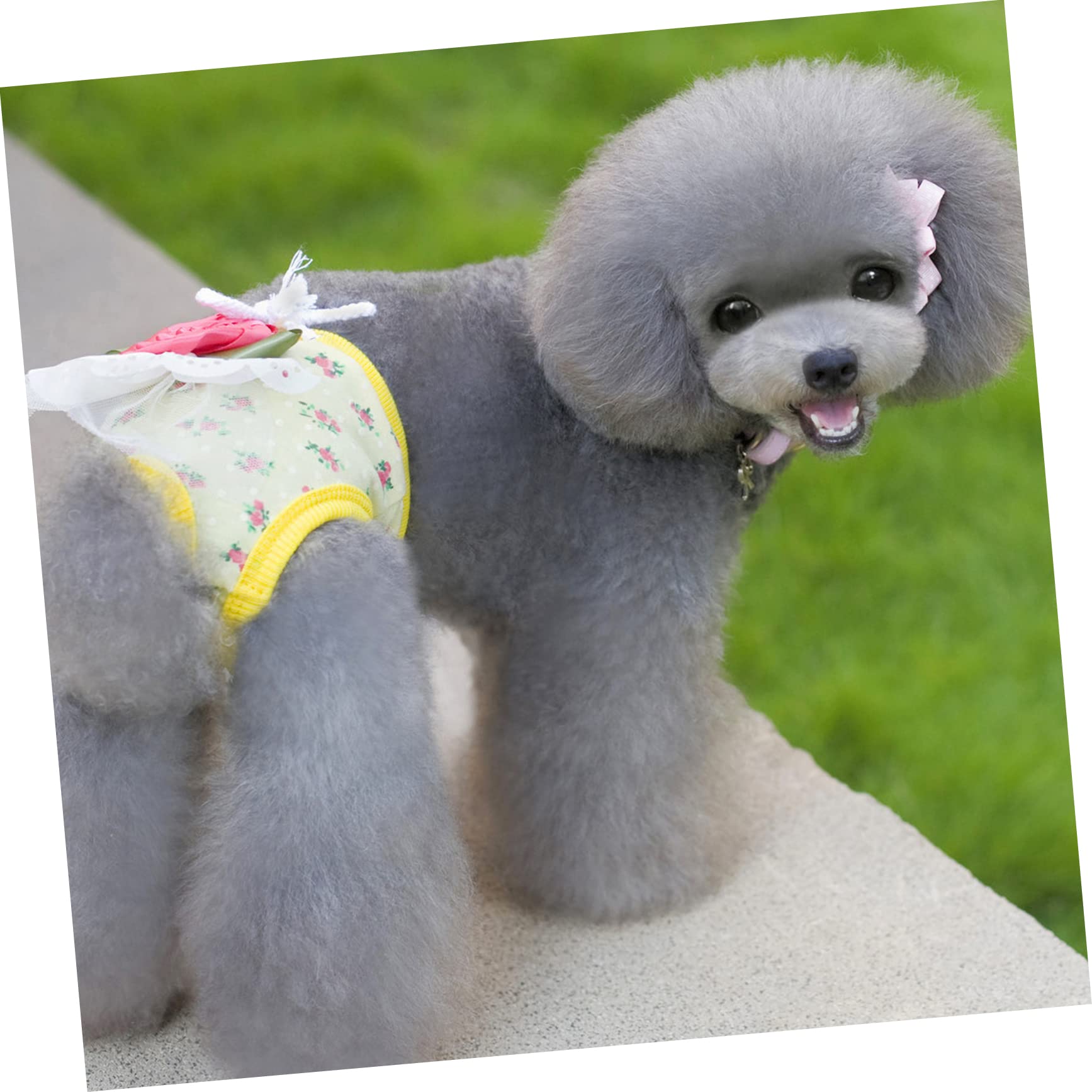 VICASKY 2pcs Dog Period Pants Breathable Comfortable Dog Diaper Pet Supply Suitable for Waist Floors from Stains Cozy Sanitary Pantie Random Color