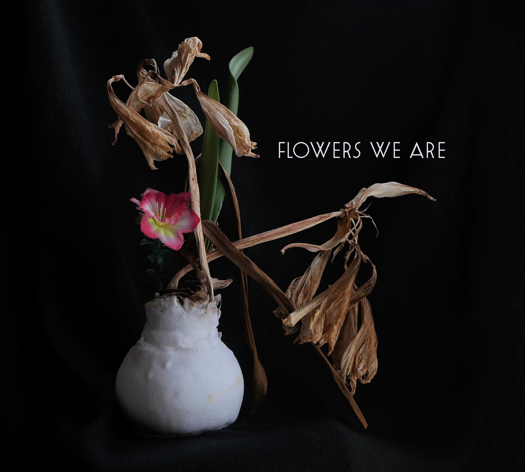 Flowers We Are Flowers We Are CD CDGG493 NEW