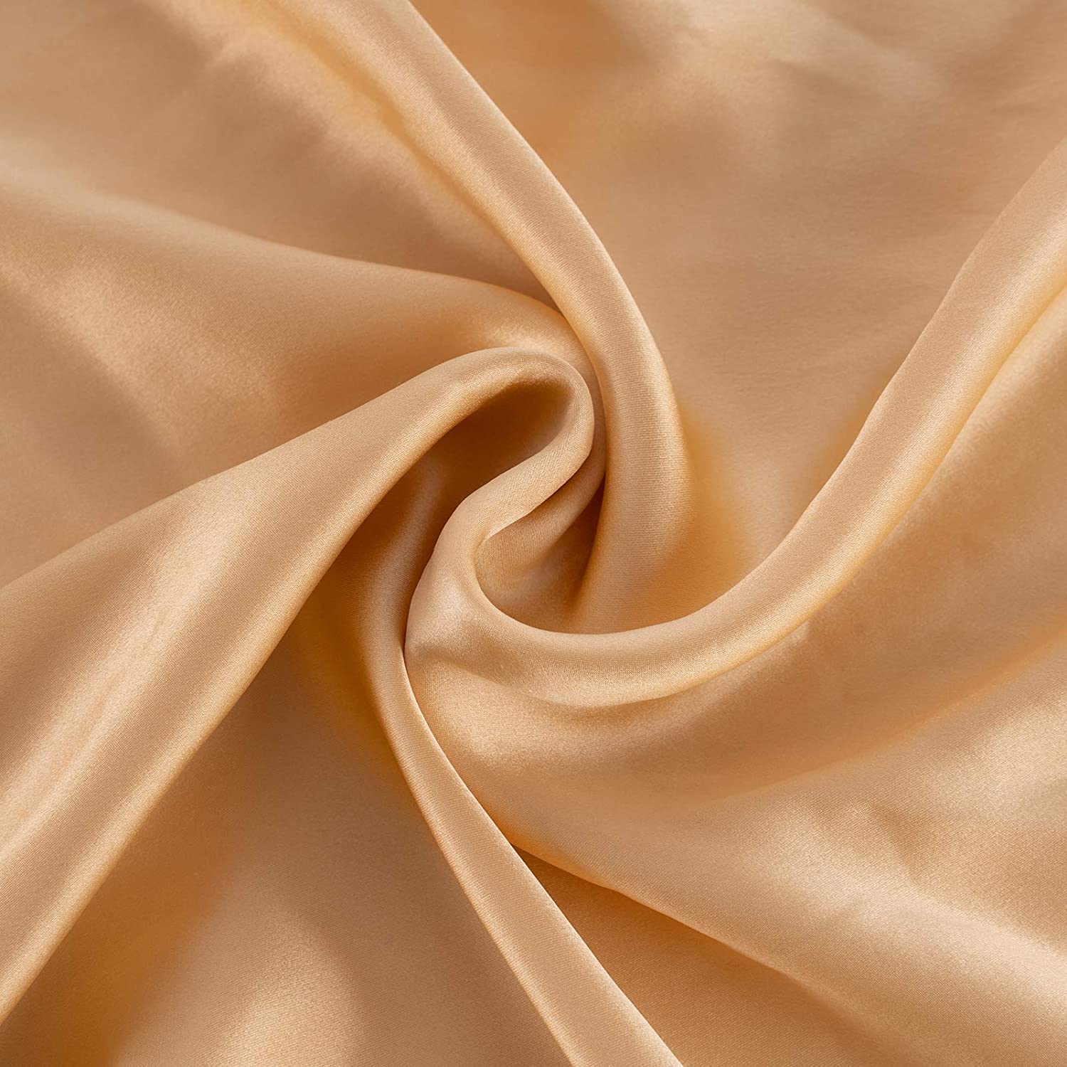 RUIPTSKE Natural Silk Federa, ipoallergenico, 22momme, 100% Seta, 600 Filati, con a Scomparsa Cerniera (Champagne, 50x90cm)