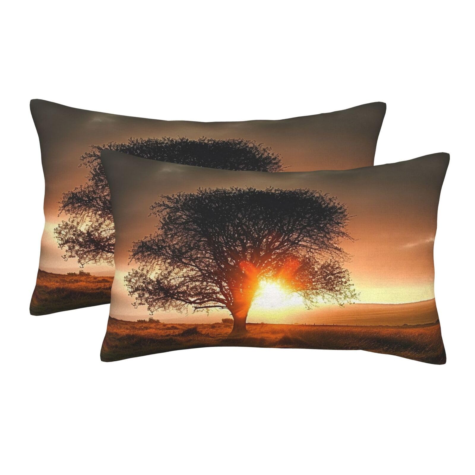 2 Pack Standard Size Pillow Cases for Hair and Skin Soft Breathable Pillow Case Covers with Hidden Zipper Natural Sunrise Pillowcase 20"x30" Pillow Cover for Sleeping Gift