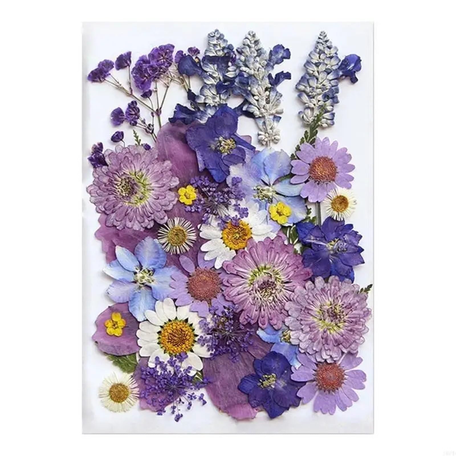 Gepresste Blumen Wunderschöne gepresste Trockenblume