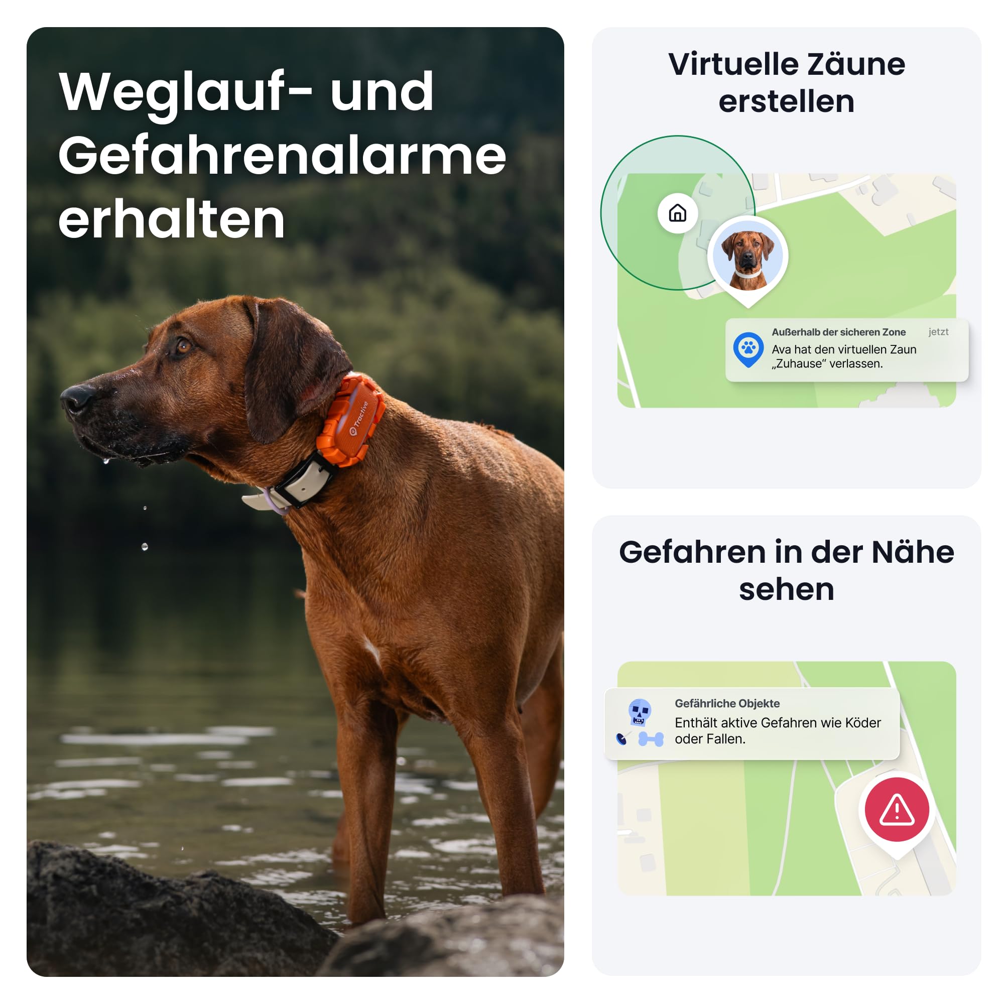 Tractive XL Adventure Smarter Hunde GPS Tracker | Modell 2026 | Großer Akku | Live-GPS-Ortung | Weglaufalarm & Gesundheitswarnungen | Überwachung der Vitalwerte | Empfohlen von Martin Rütter (Orange)