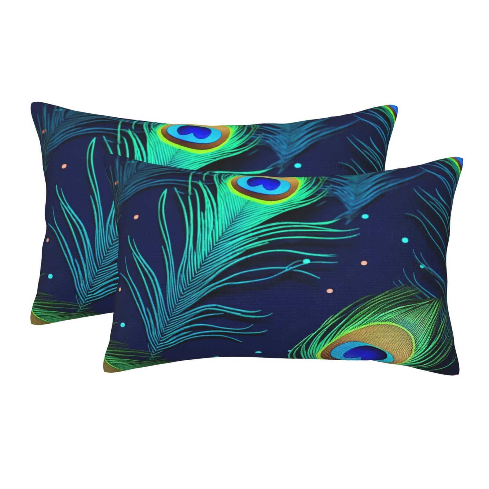 2 Pack Standard Size Pillow Cases for Hair and Skin Soft Breathable Pillow Case Covers with Hidden Zipper Peacock Feather Pillowcase 16"x24" Pillow Cover for Sleeping Gift