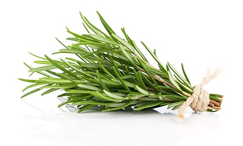 Miniatura 3 de Fantis Especias secas de romero  Hojas de romero - 6.7 onzas