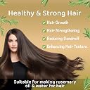 NutroVally Rosemary Leaves 200g|For Seasoning & Helps In Hair Growth| Natural Dry Leaves Rosemary|Food Grade Leaves |Organic rosemary leaves|Perfect for Salads, Chicken, Teas, Soup gallery image